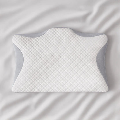 Housse d’Oreiller de Rechange Zanivya 2.0