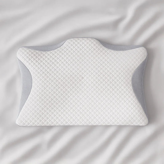 Housse d’Oreiller de Rechange Zanivya 2.0