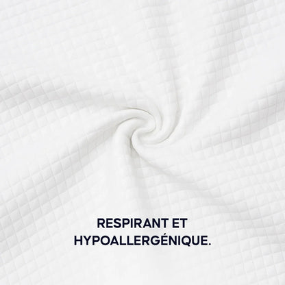 Housse d’Oreiller de Rechange Zanivya 2.0